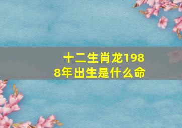 十二生肖龙1988年出生是什么命