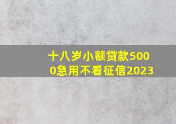 十八岁小额贷款5000急用不看征信2023