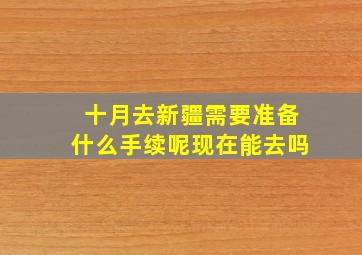 十月去新疆需要准备什么手续呢现在能去吗