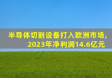 半导体切割设备打入欧洲市场,2023年净利润14.6亿元