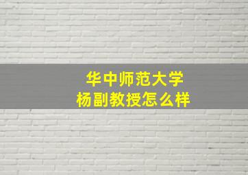 华中师范大学杨副教授怎么样