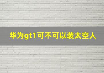 华为gt1可不可以装太空人