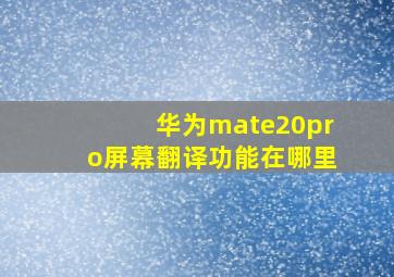 华为mate20pro屏幕翻译功能在哪里