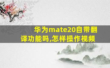 华为mate20自带翻译功能吗,怎样操作视频