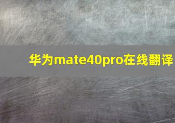 华为mate40pro在线翻译