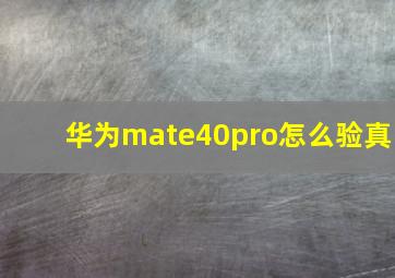 华为mate40pro怎么验真