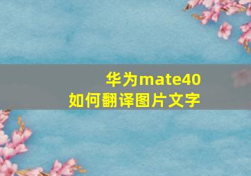 华为mate40如何翻译图片文字