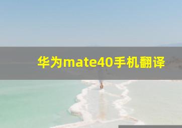 华为mate40手机翻译