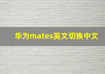 华为mates英文切换中文