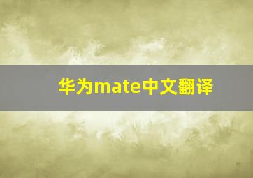 华为mate中文翻译