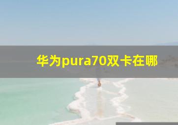 华为pura70双卡在哪