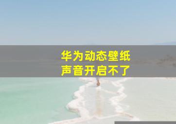 华为动态壁纸声音开启不了