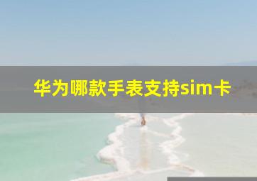 华为哪款手表支持sim卡