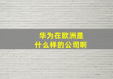 华为在欧洲是什么样的公司啊