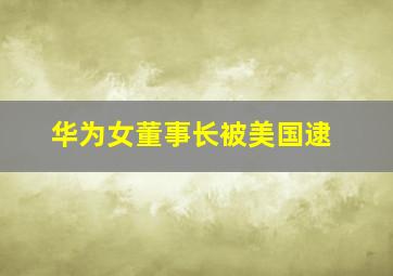 华为女董事长被美国逮