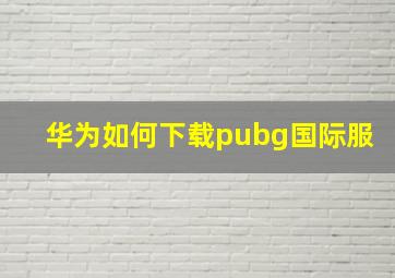 华为如何下载pubg国际服