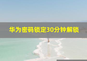 华为密码锁定30分钟解锁