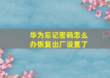 华为忘记密码怎么办恢复出厂设置了