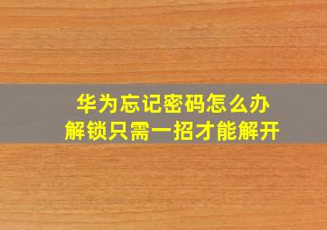 华为忘记密码怎么办解锁只需一招才能解开