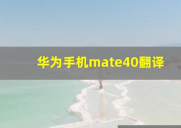 华为手机mate40翻译