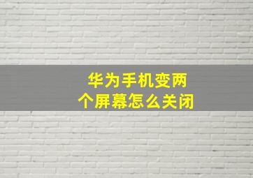 华为手机变两个屏幕怎么关闭