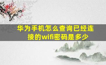 华为手机怎么查询已经连接的wifi密码是多少