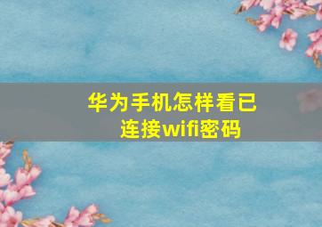 华为手机怎样看已连接wifi密码