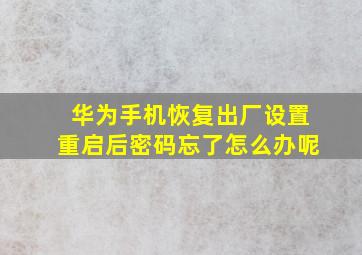 华为手机恢复出厂设置重启后密码忘了怎么办呢