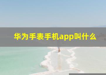 华为手表手机app叫什么