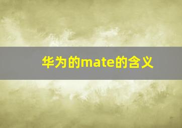 华为的mate的含义