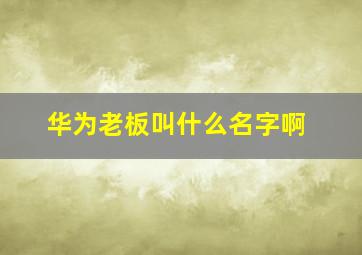 华为老板叫什么名字啊