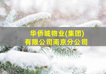 华侨城物业(集团)有限公司南京分公司