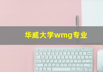 华威大学wmg专业