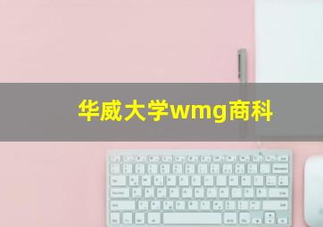 华威大学wmg商科