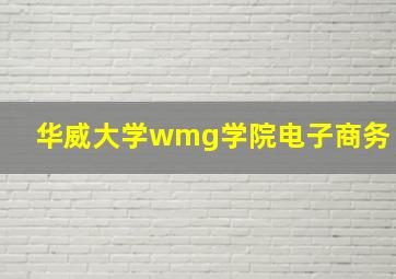 华威大学wmg学院电子商务