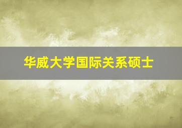 华威大学国际关系硕士