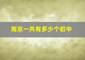 南京一共有多少个初中