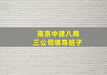 南京中建八局三公司领导班子