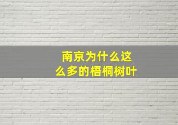 南京为什么这么多的梧桐树叶