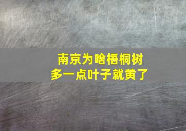 南京为啥梧桐树多一点叶子就黄了