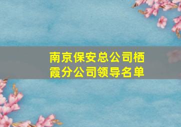 南京保安总公司栖霞分公司领导名单