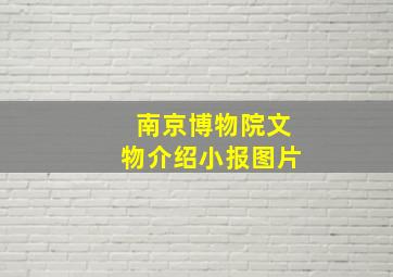 南京博物院文物介绍小报图片