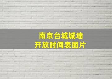 南京台城城墙开放时间表图片