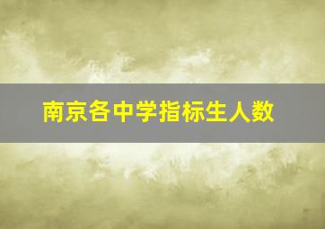 南京各中学指标生人数