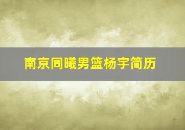 南京同曦男篮杨宇简历