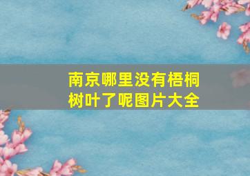 南京哪里没有梧桐树叶了呢图片大全