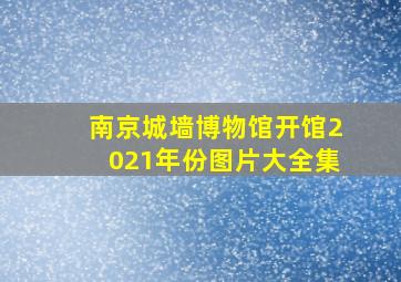 南京城墙博物馆开馆2021年份图片大全集