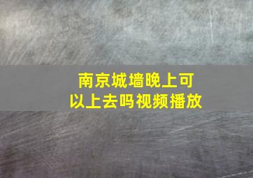 南京城墙晚上可以上去吗视频播放