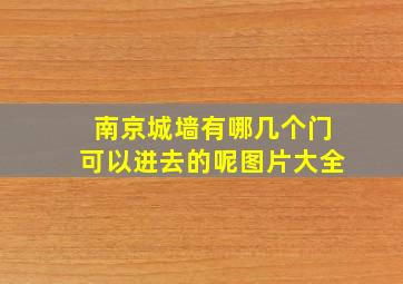 南京城墙有哪几个门可以进去的呢图片大全