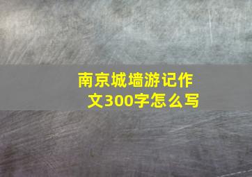 南京城墙游记作文300字怎么写